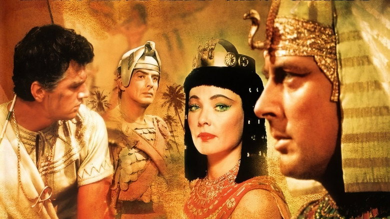 The Egyptian still 4
