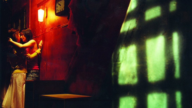 Butterfly still 6
