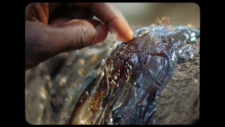 Amílcar still 2