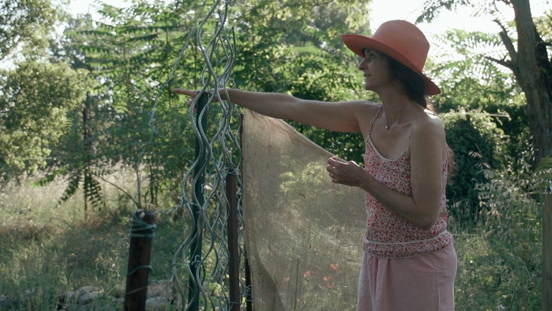 Trois oiseaux bleus still 6