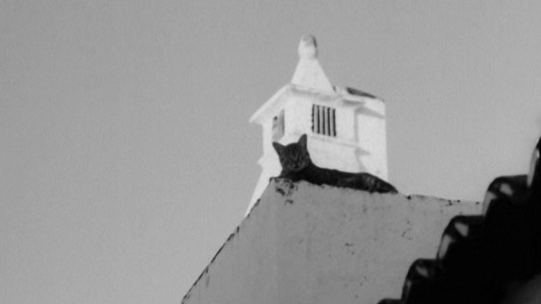 As Pedras e o Tempo still 1