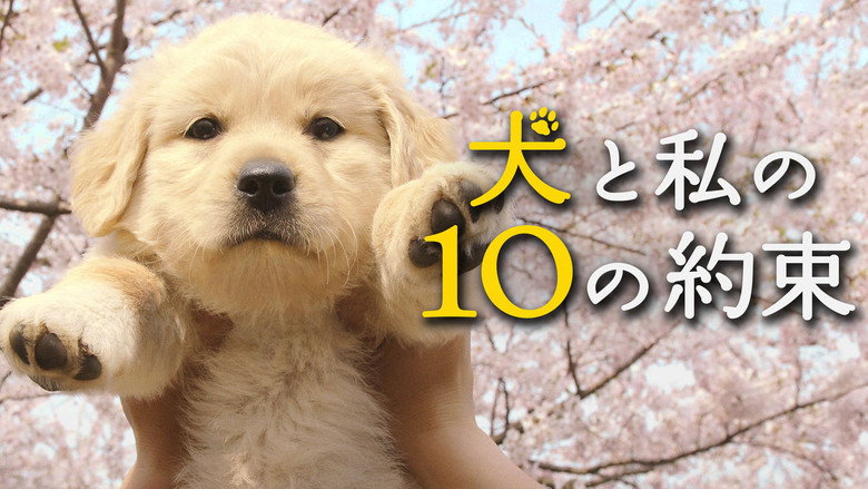 10 Promises to My Dog still 8