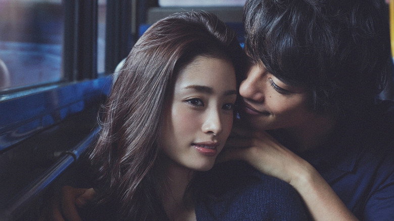 Hirugao still 2