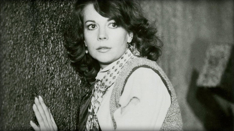 Meteor still 3