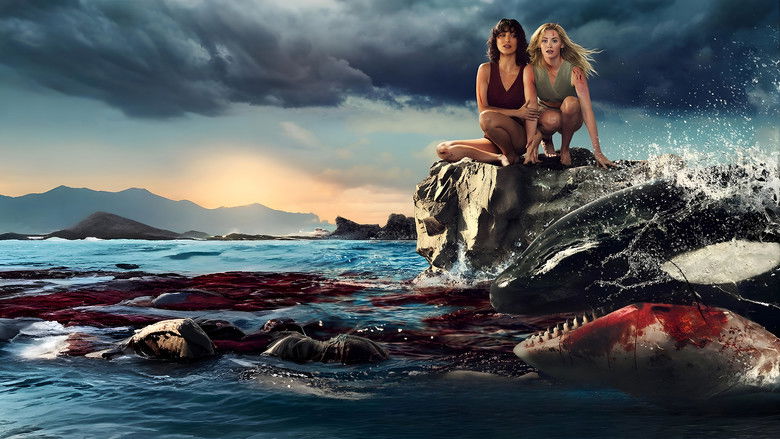 Killer Whale still 1