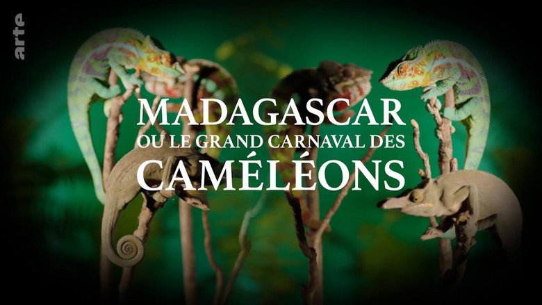 Madagascar or the Great Carnival of the Chameleons still 1