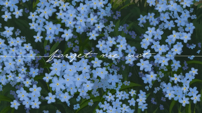 Forget Me Not still 2