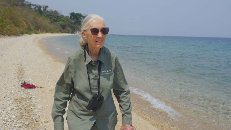 Jane Goodall: The Hope still 2