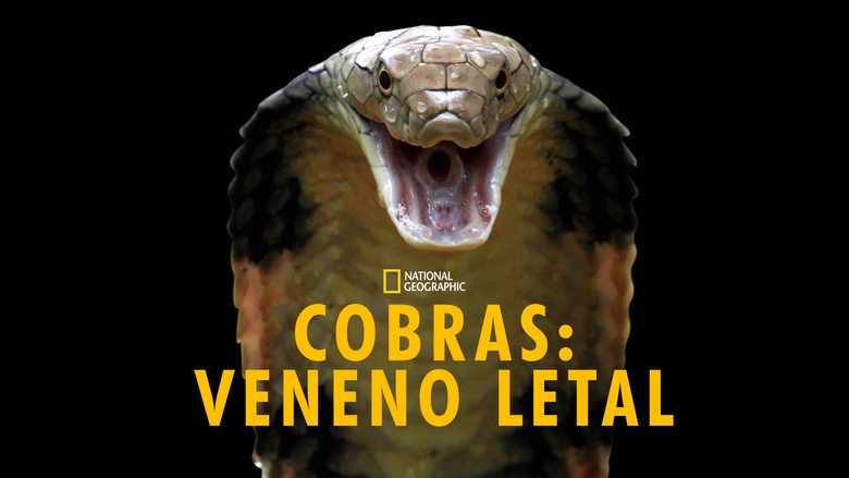 Killer Snakes still 3