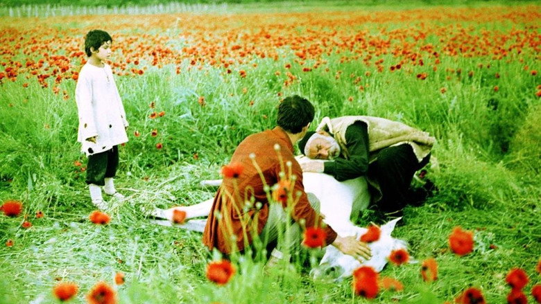 The Wishing Tree still 1