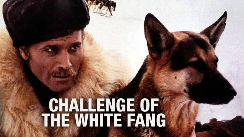 Challenge to White Fang still 7