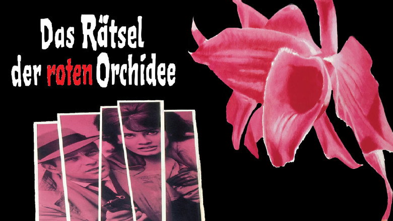 The Secret of the Red Orchid still 6