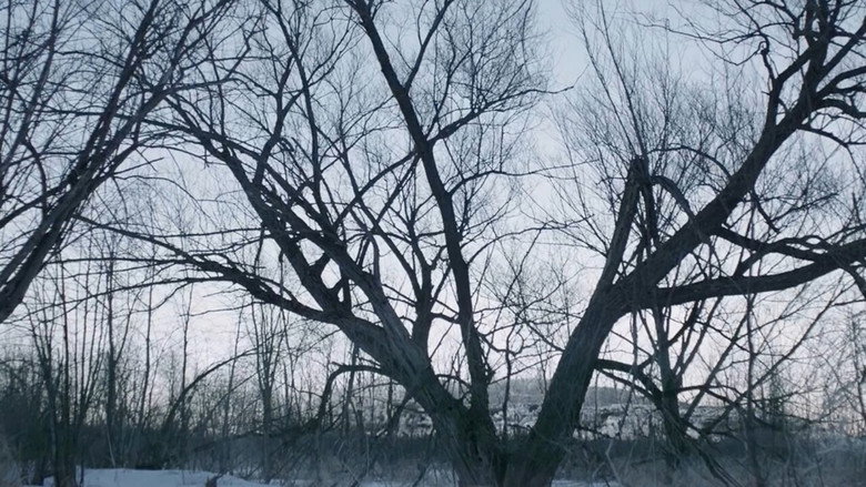 Witches in the Woods still 8