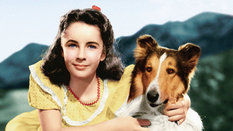 Courage of Lassie still 3