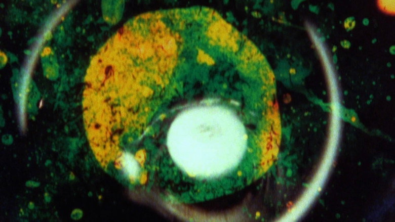 By Brakhage: An Anthology, Volume One still 1