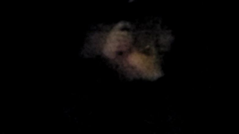Lurker still 1