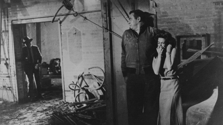 A Cry in the Night still 6