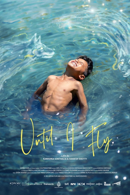 Until I Fly poster