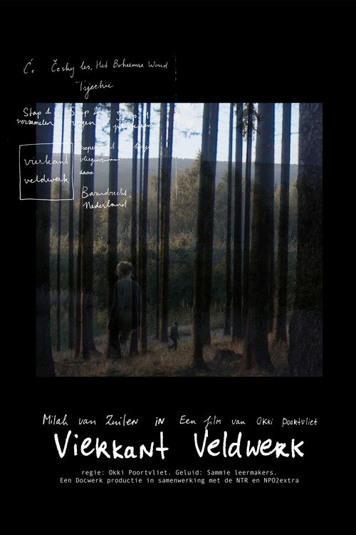 Square Fieldwork poster