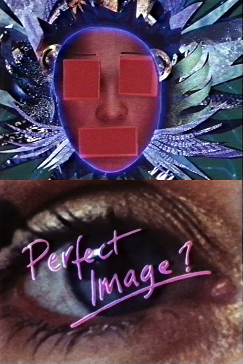 Perfect Image? poster