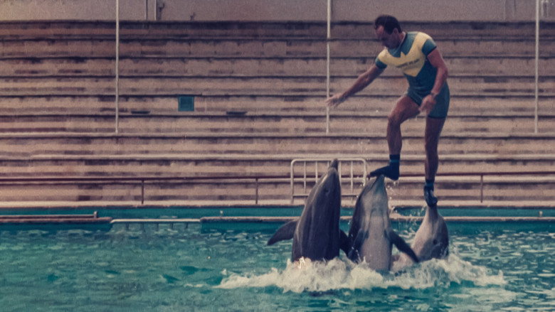 The Last Dolphin King still 3
