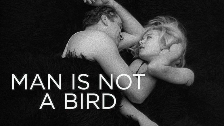 Man Is Not a Bird still 7