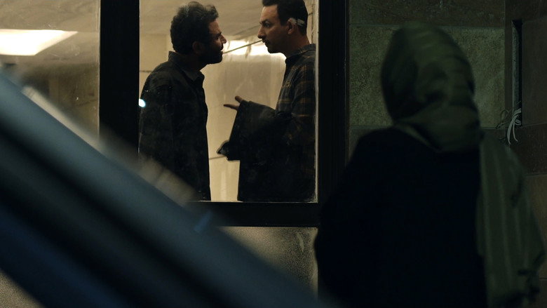 Damp still 1