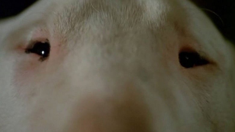Baxter still 2